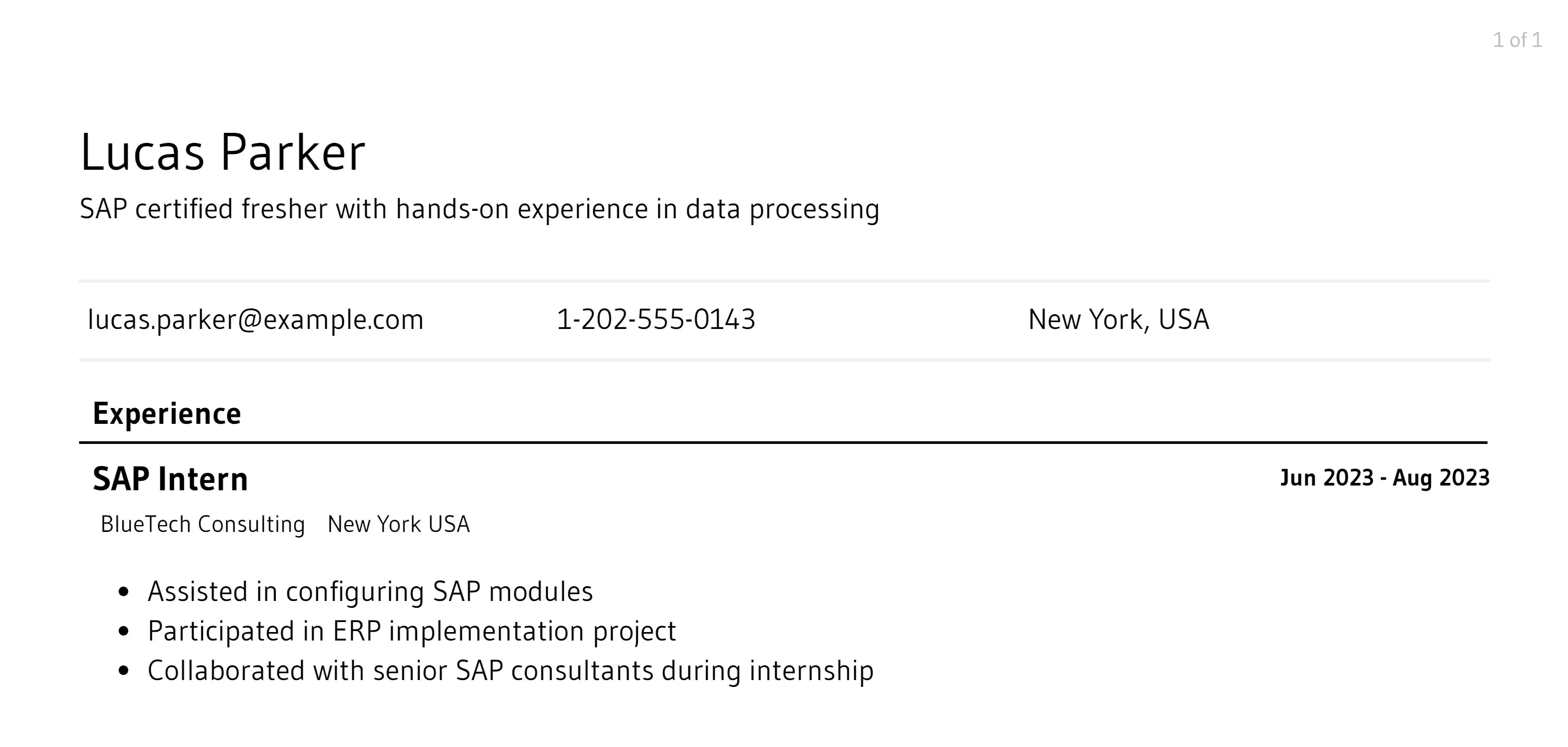 sap resume responsibilities example