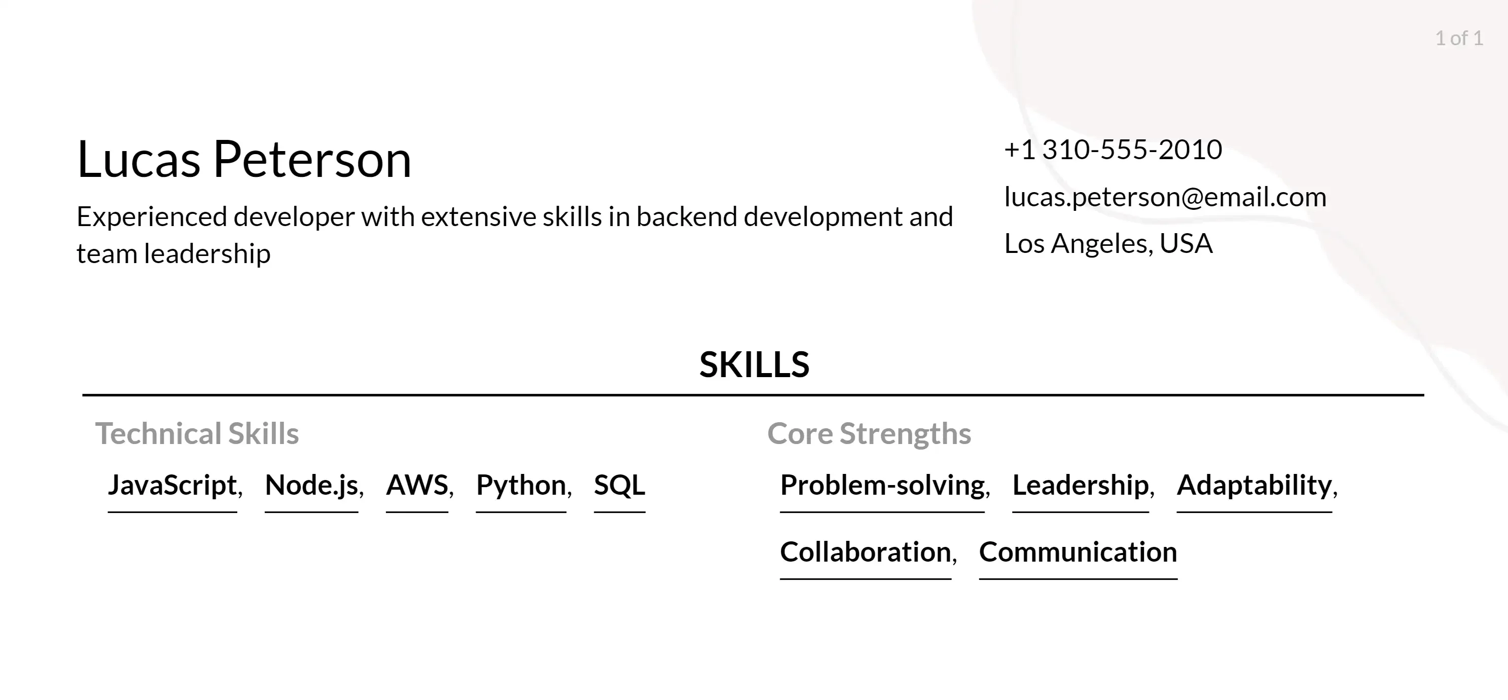 senior developer resume skills