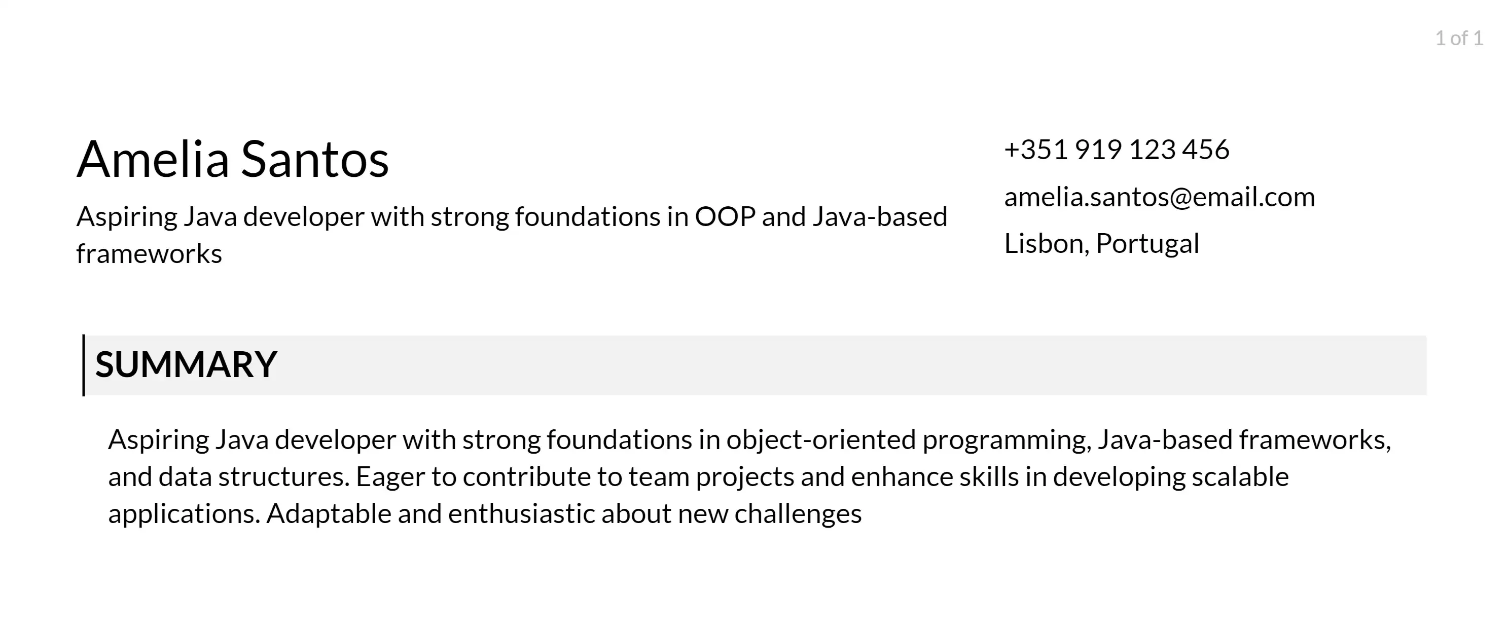 senior java developer objective