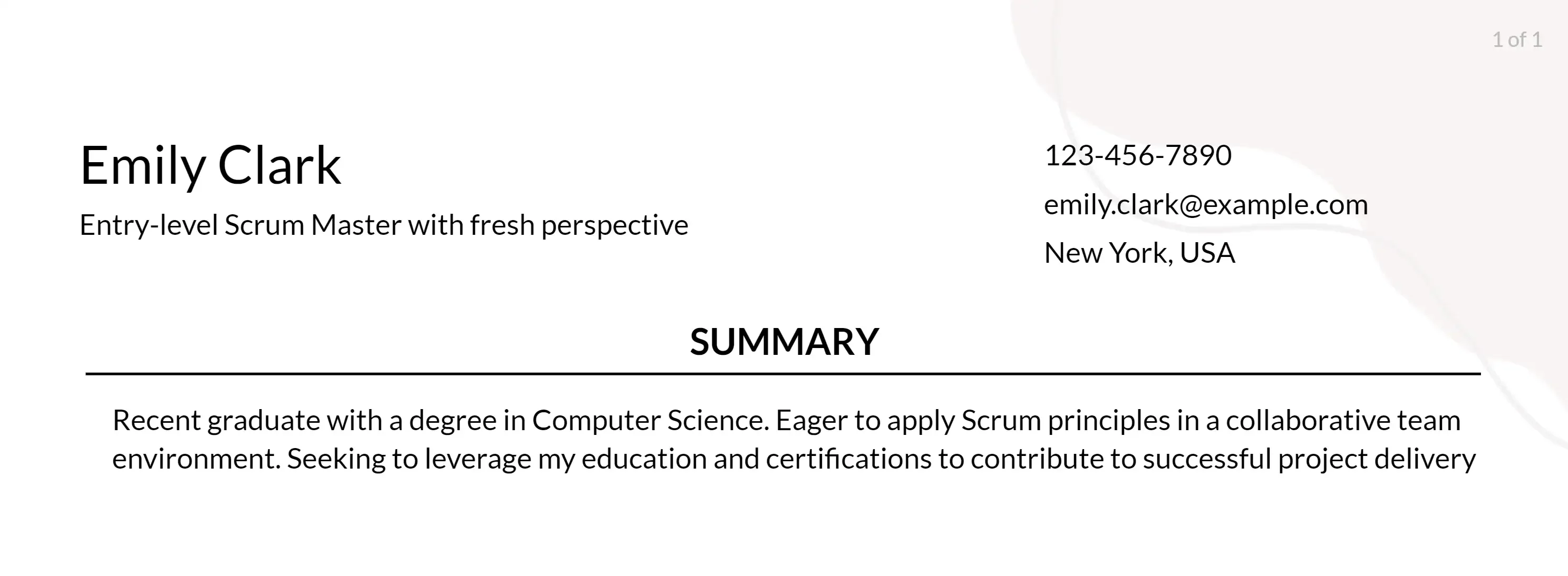 senior scrum master resume objective