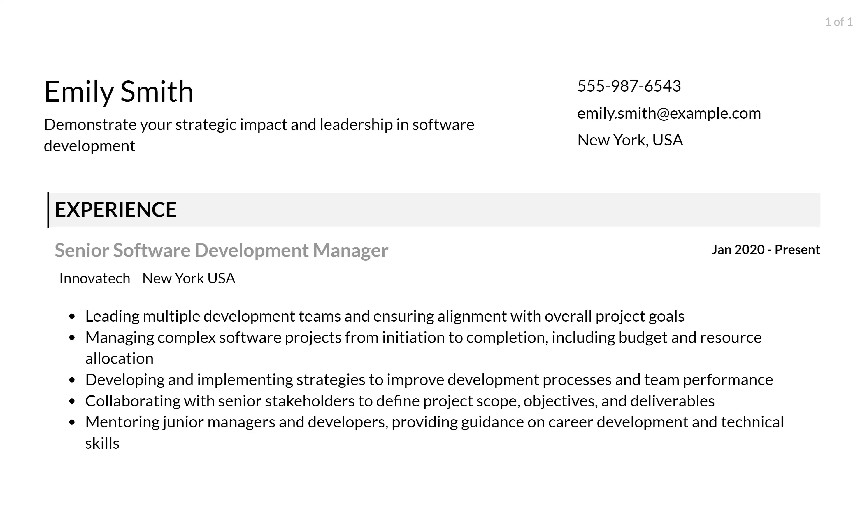 software development manager resume responsibilities