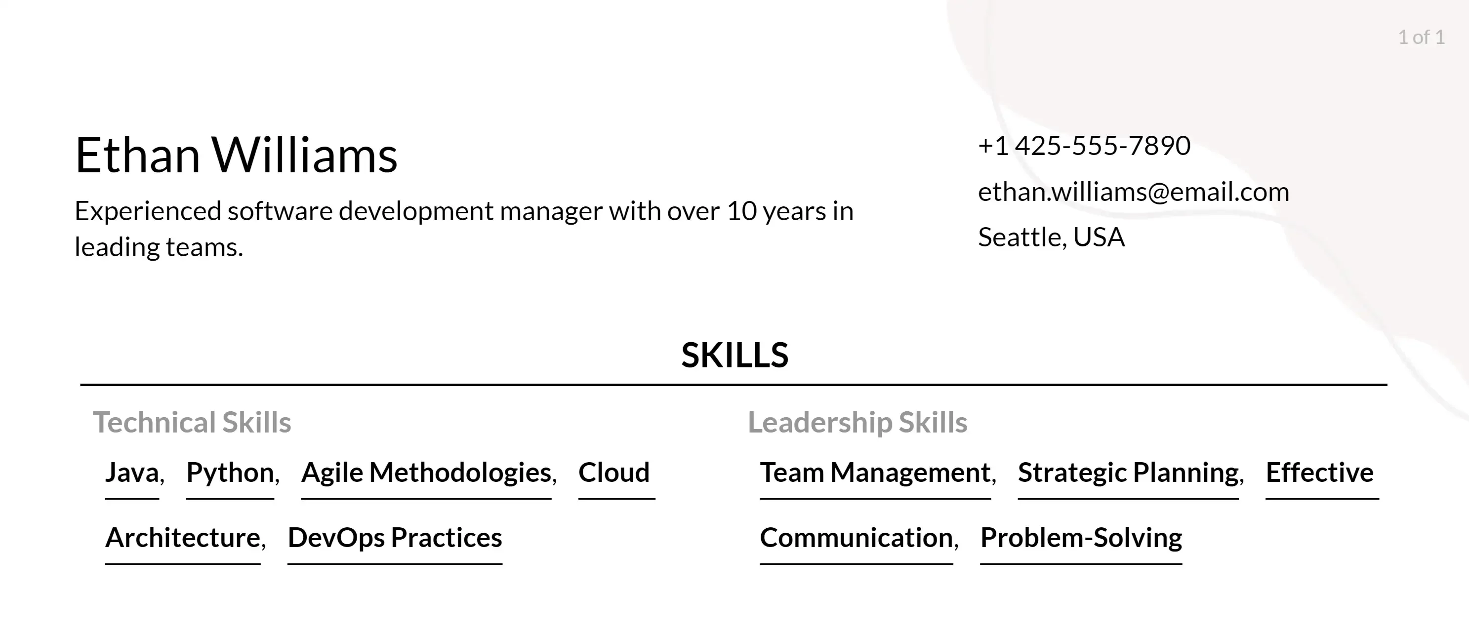 software development manager skills