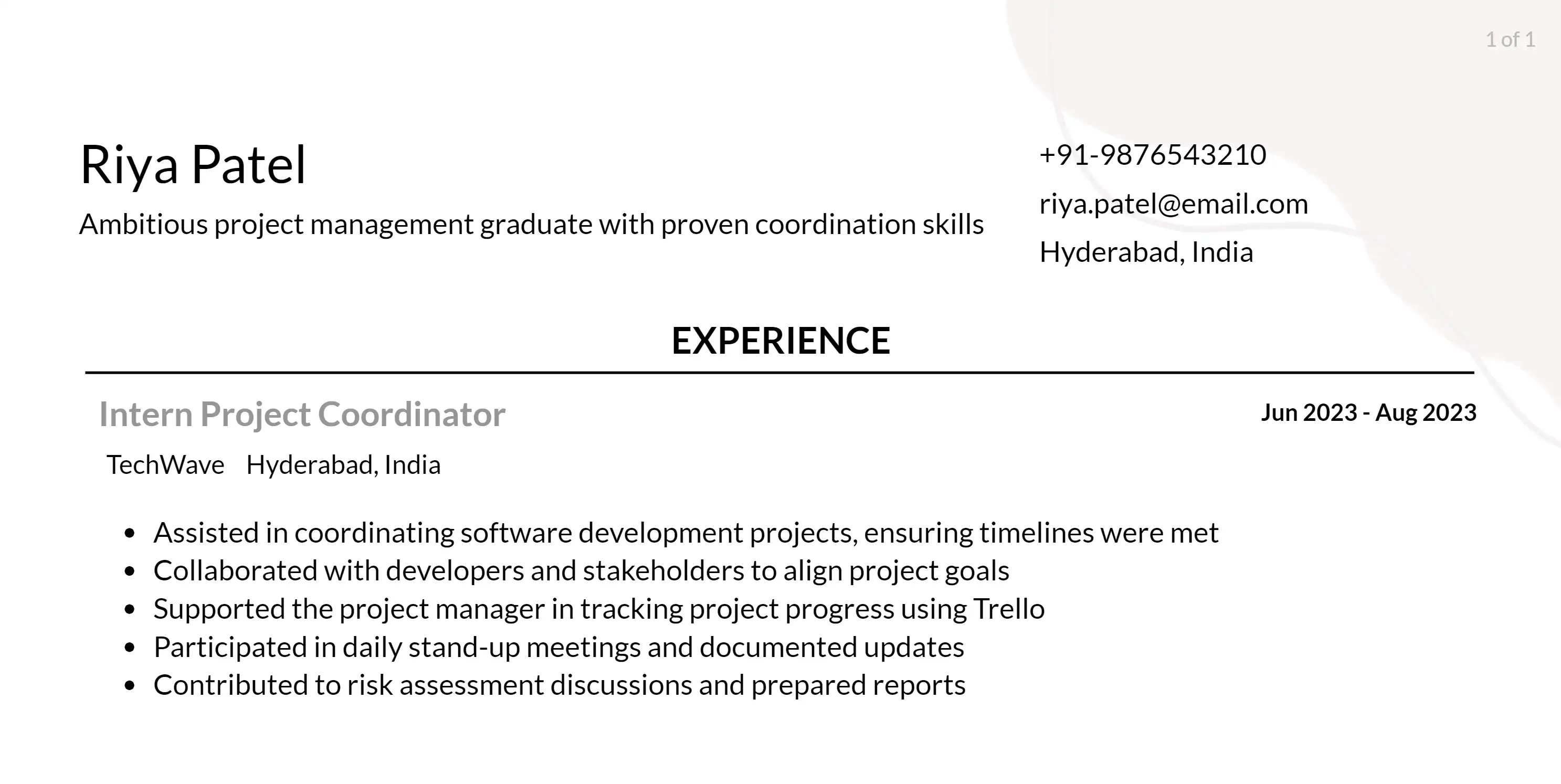 software project manager responsibilities