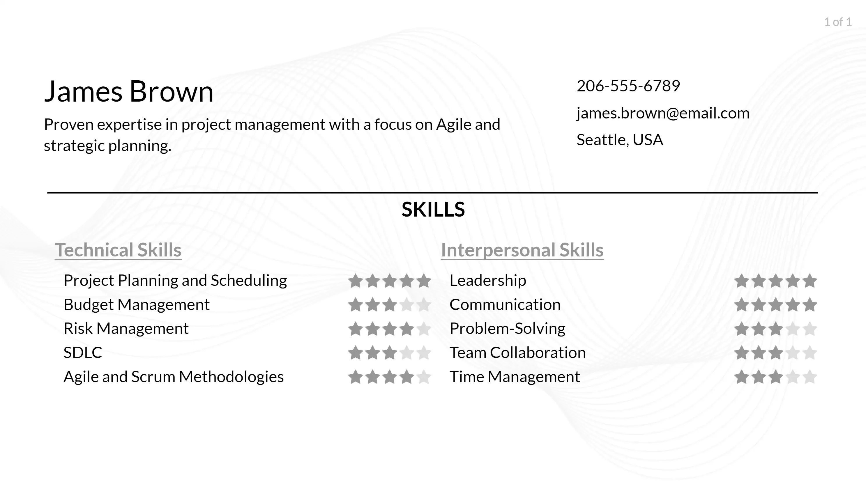 software project manager resume skills