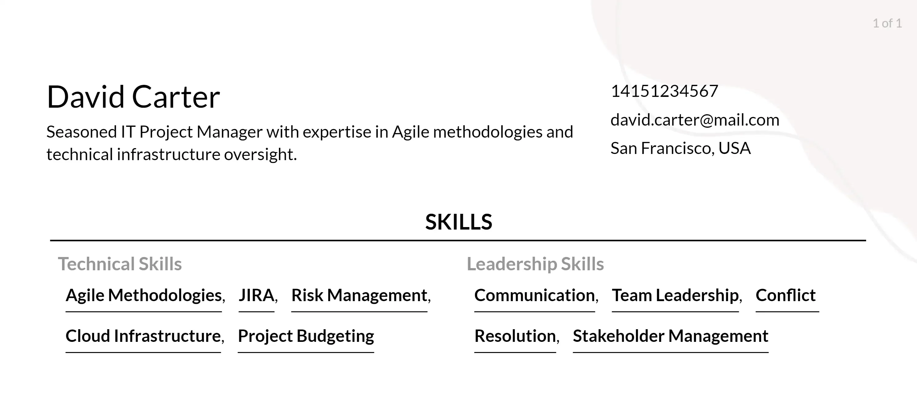 it project manager resume skills