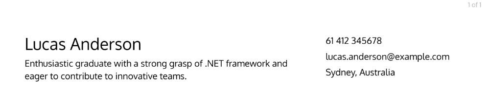 .NET Developer