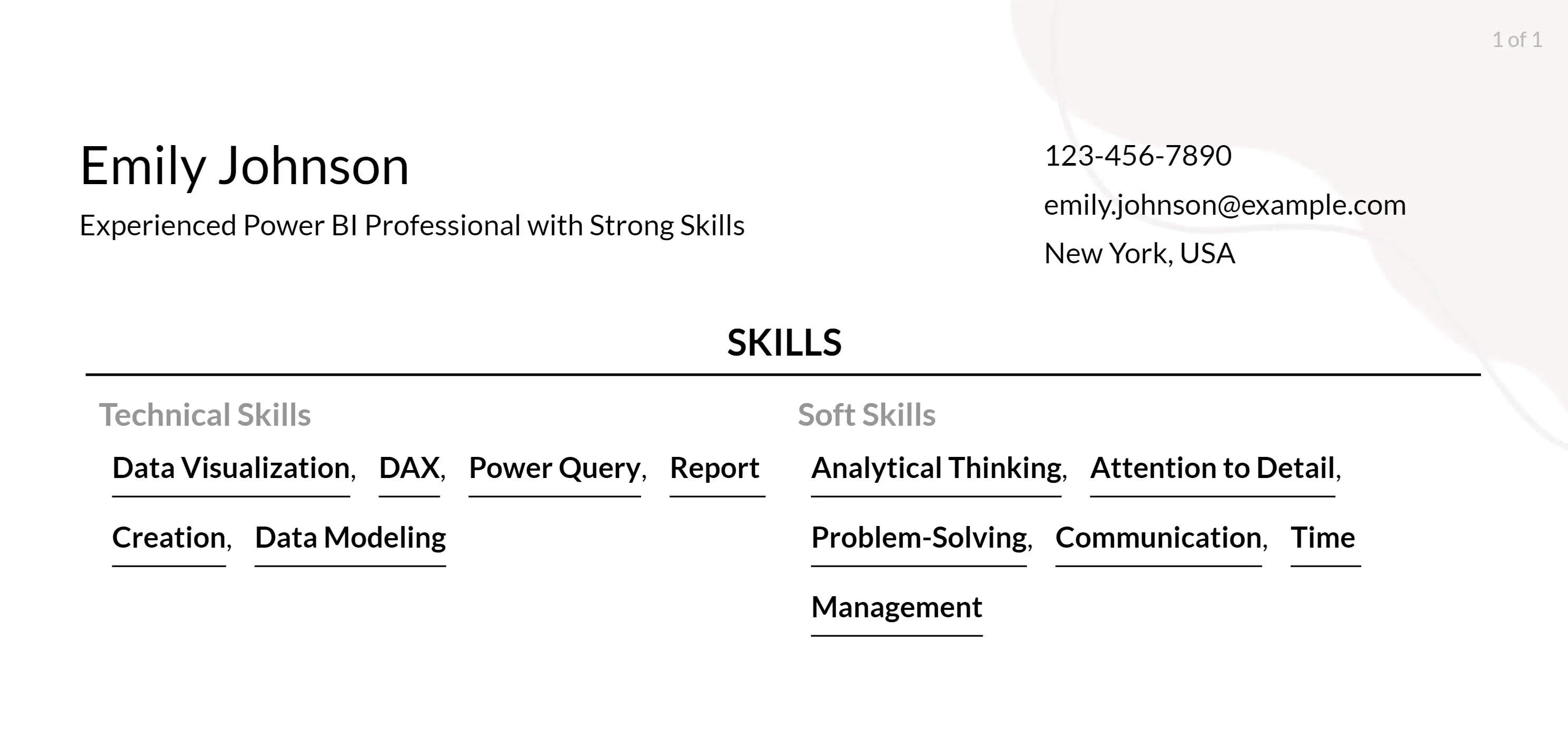 power bi resume skills