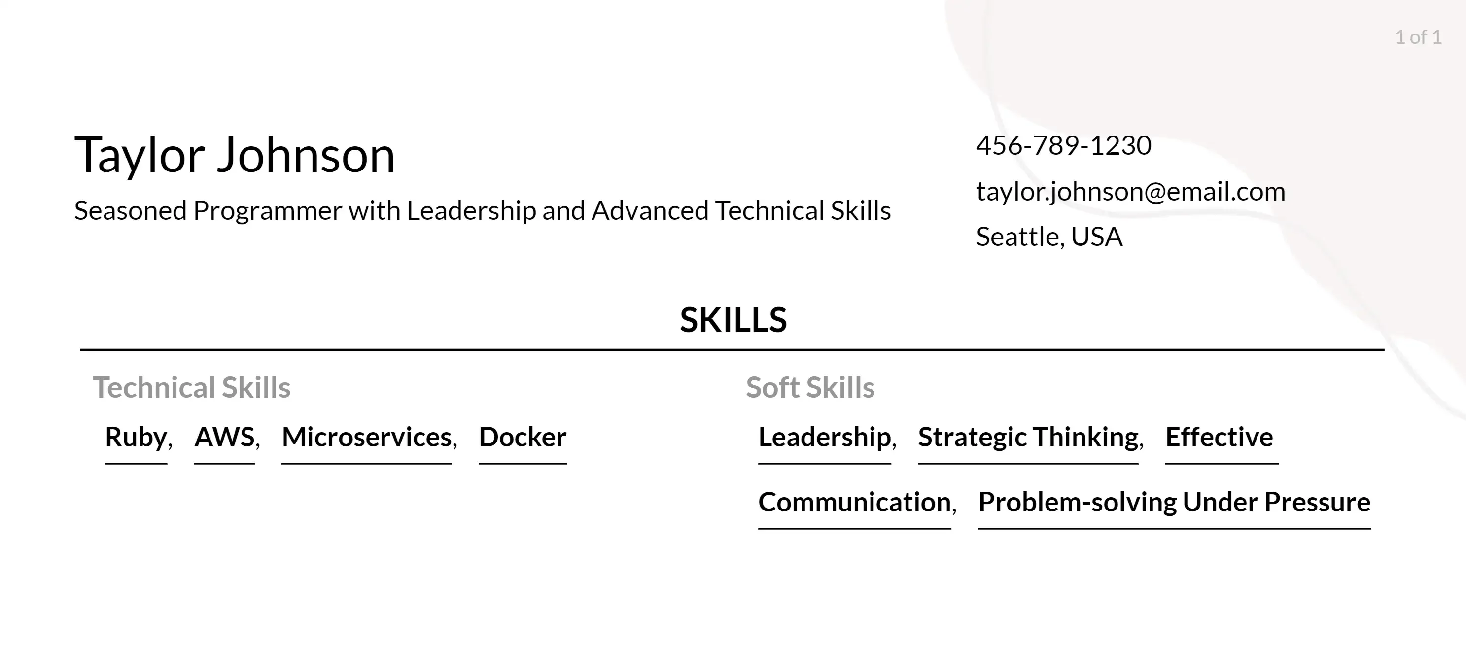 programmer resume example skills