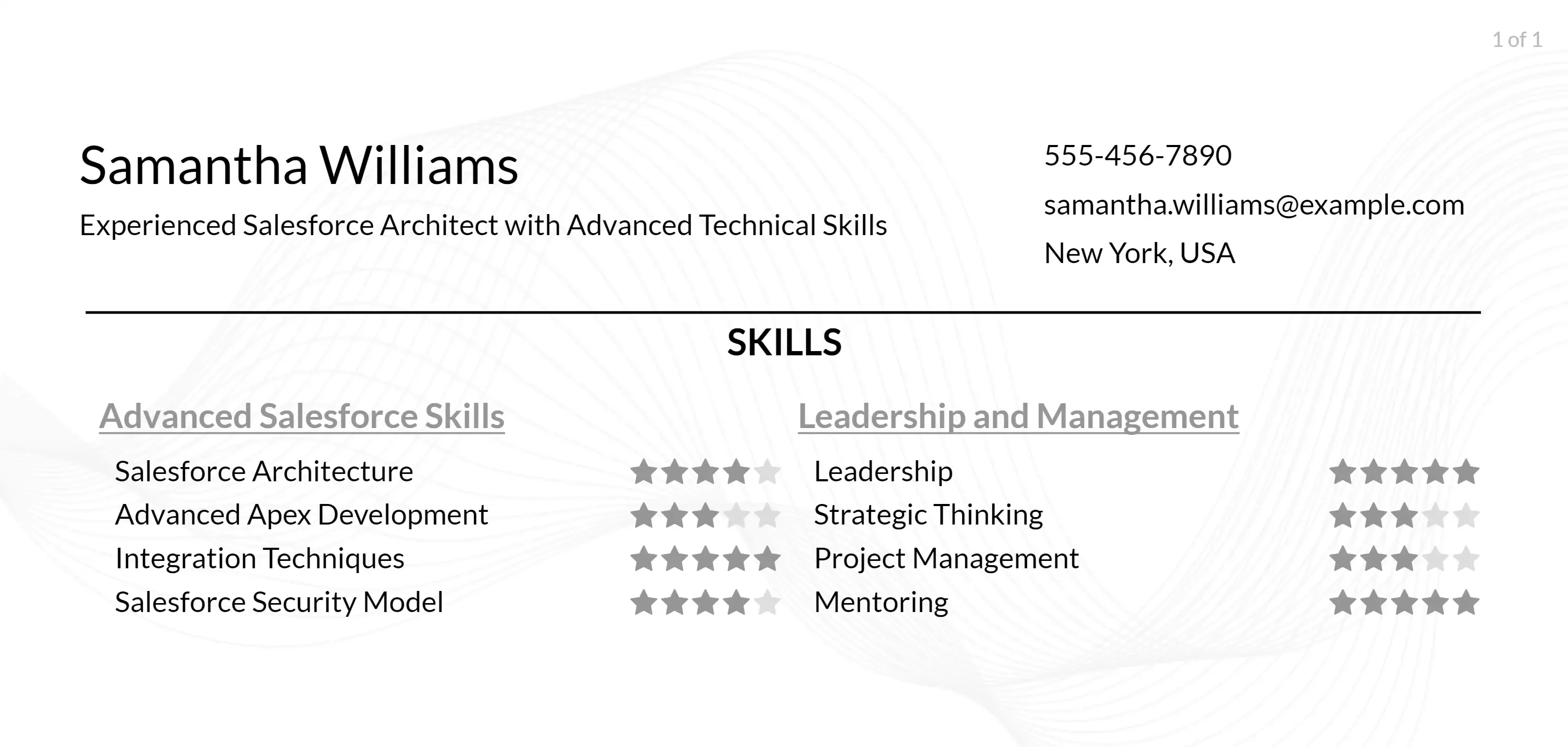 salesforce resume example skills