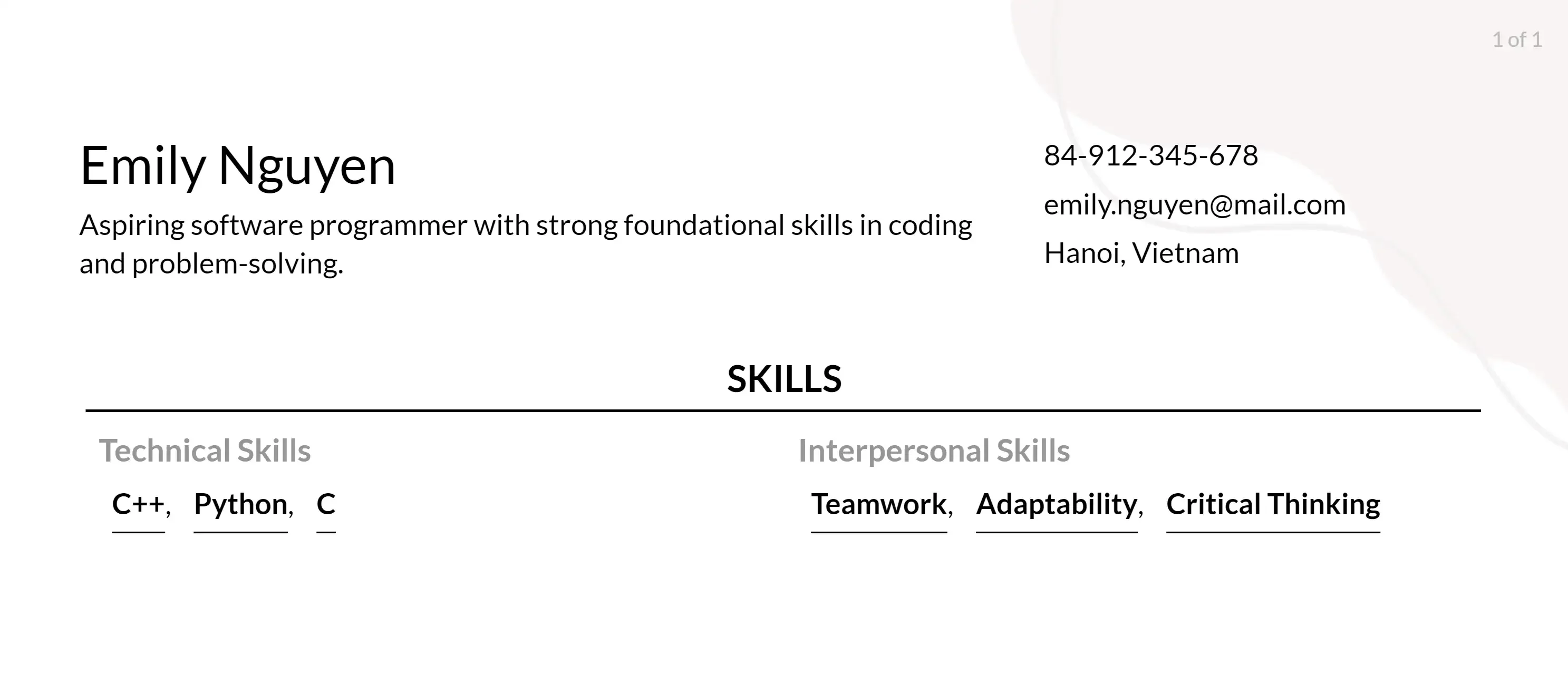 software programmer resume skills