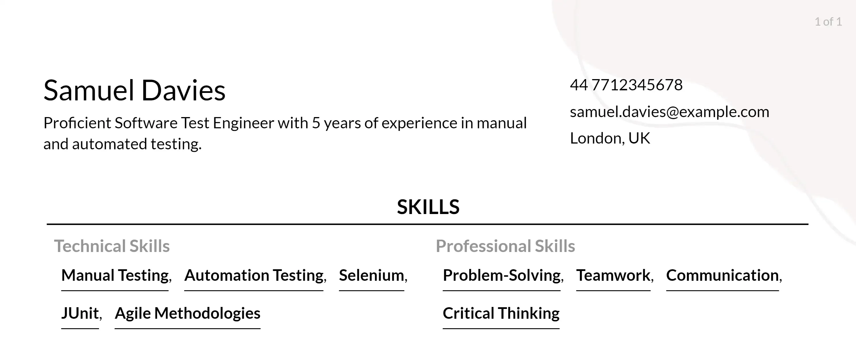 software test engineer skills