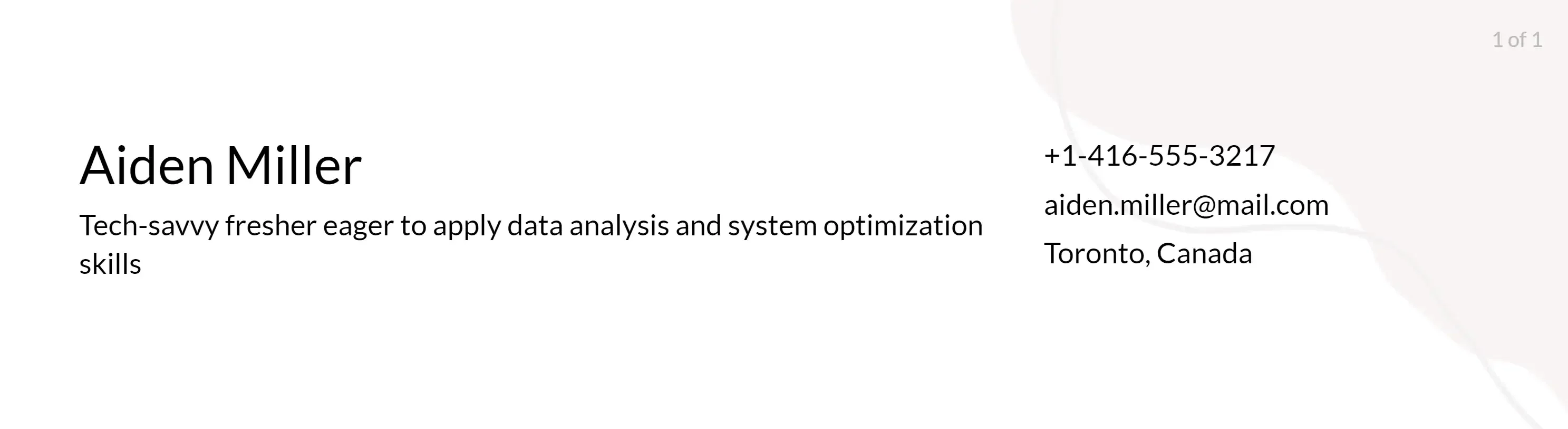 system analyst headlines