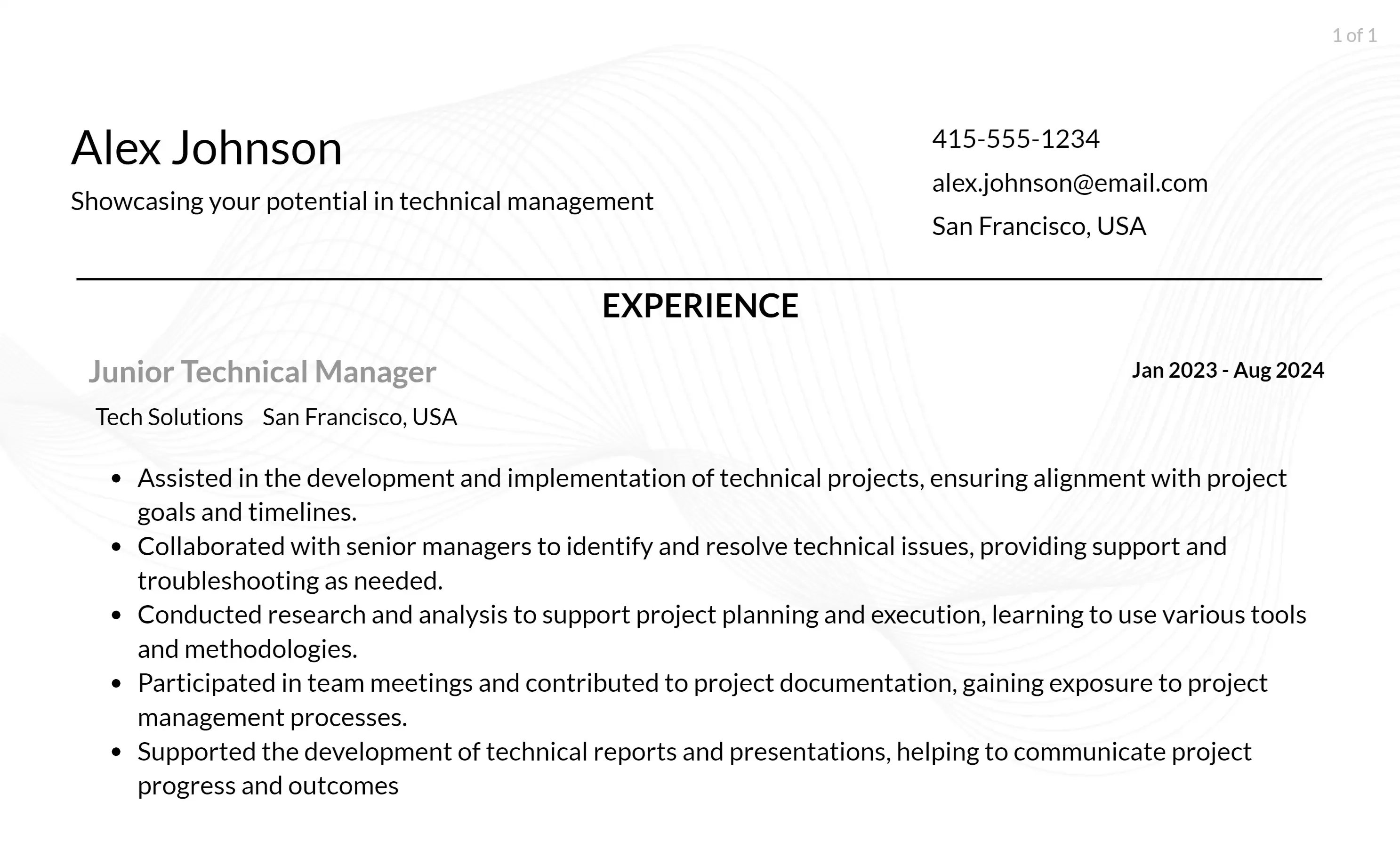 technical manager resume responsibilities