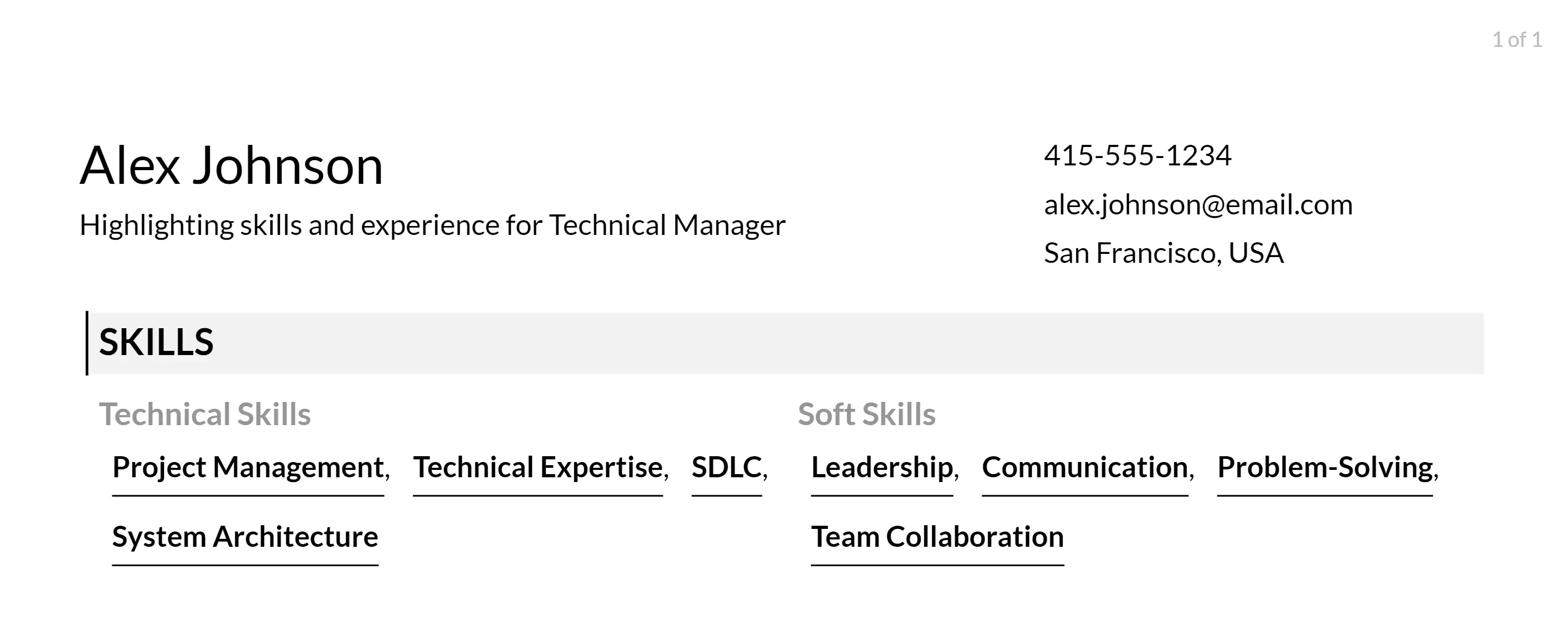 technical manager resume skills