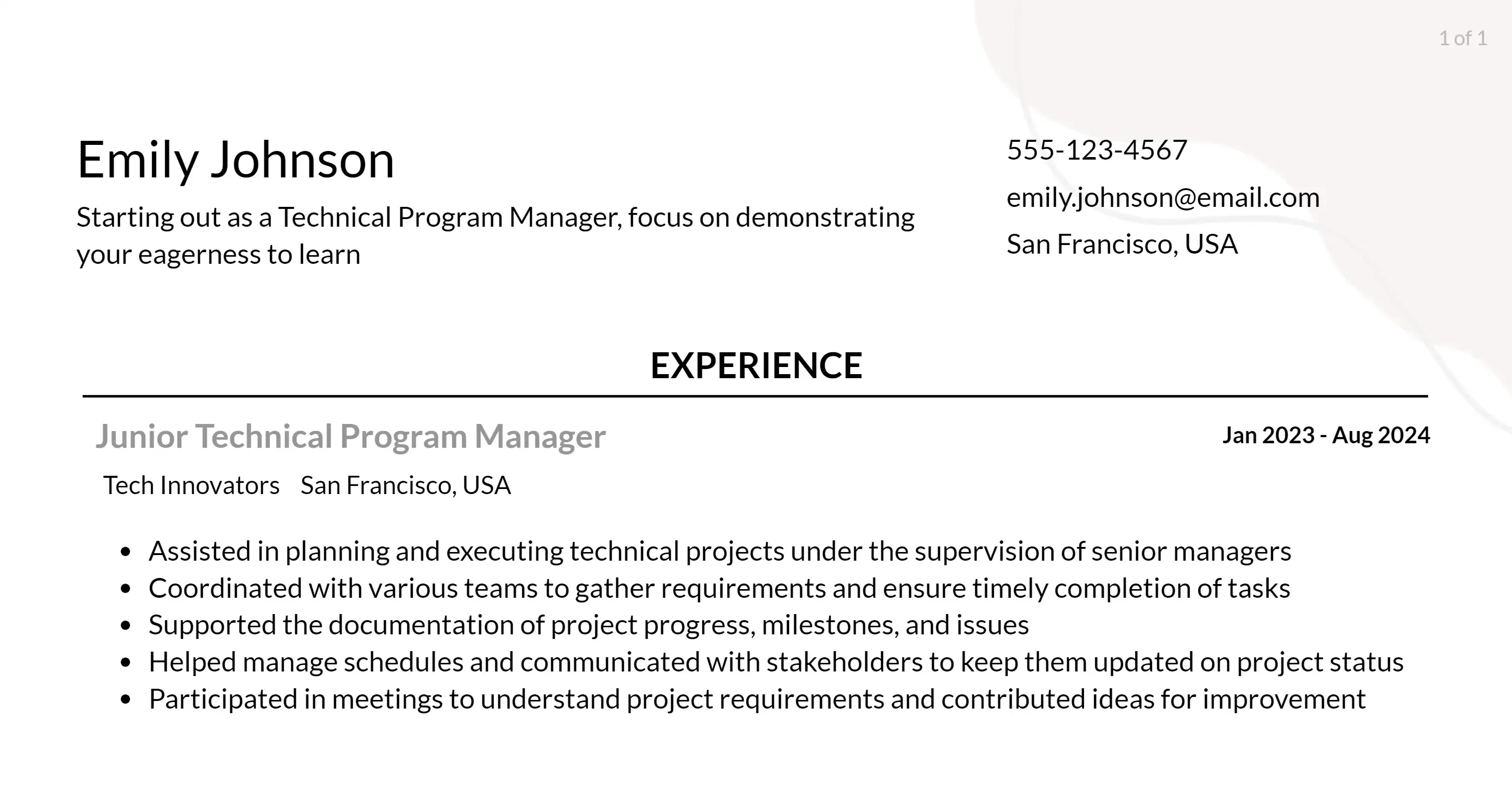 technical program manager resume responsibilities