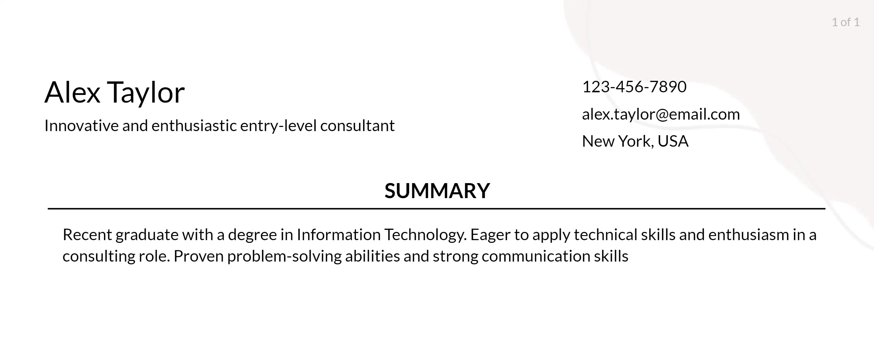 technology consultant resume objective