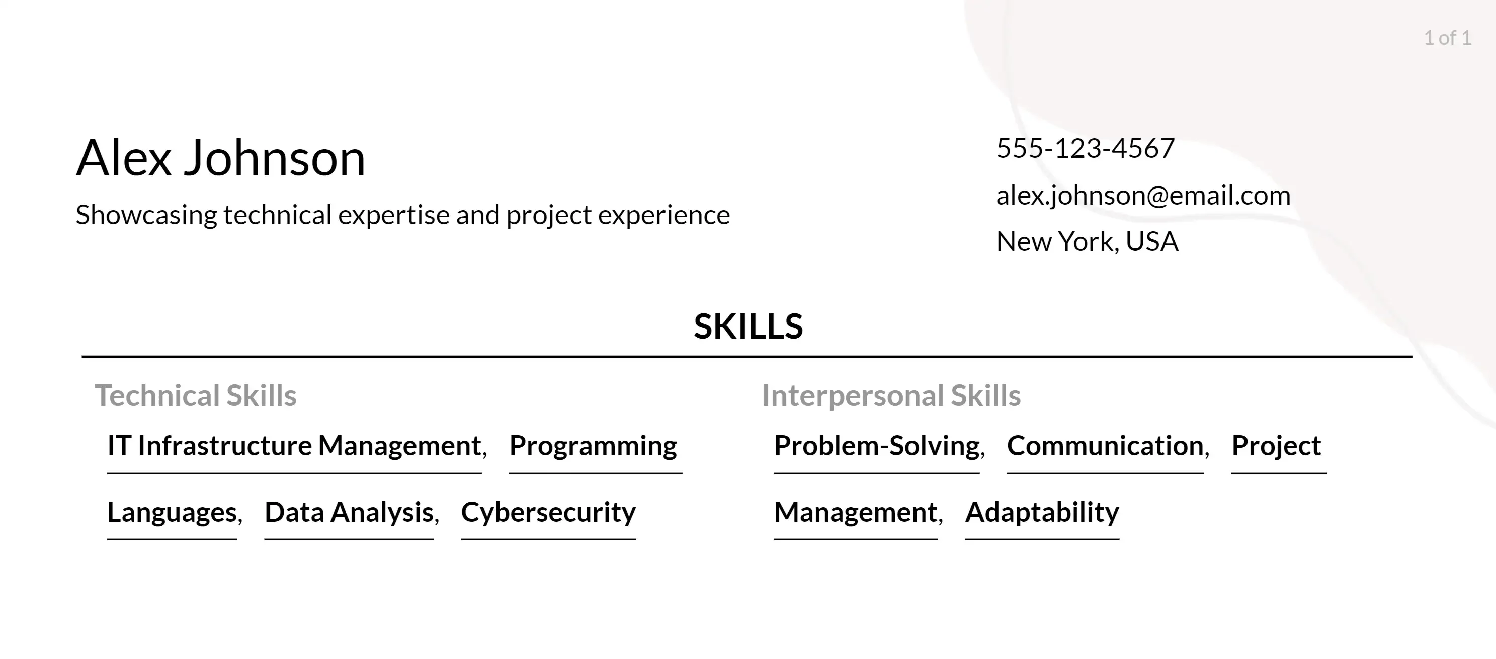 technology consultant resume skills