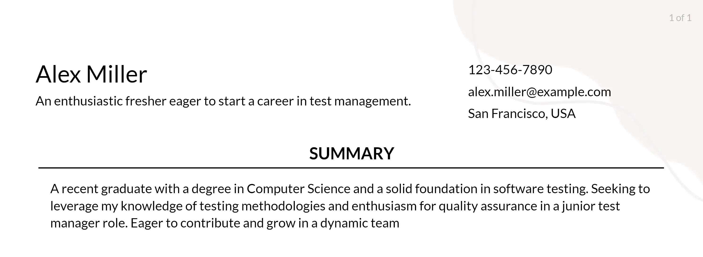 test manager resume objective