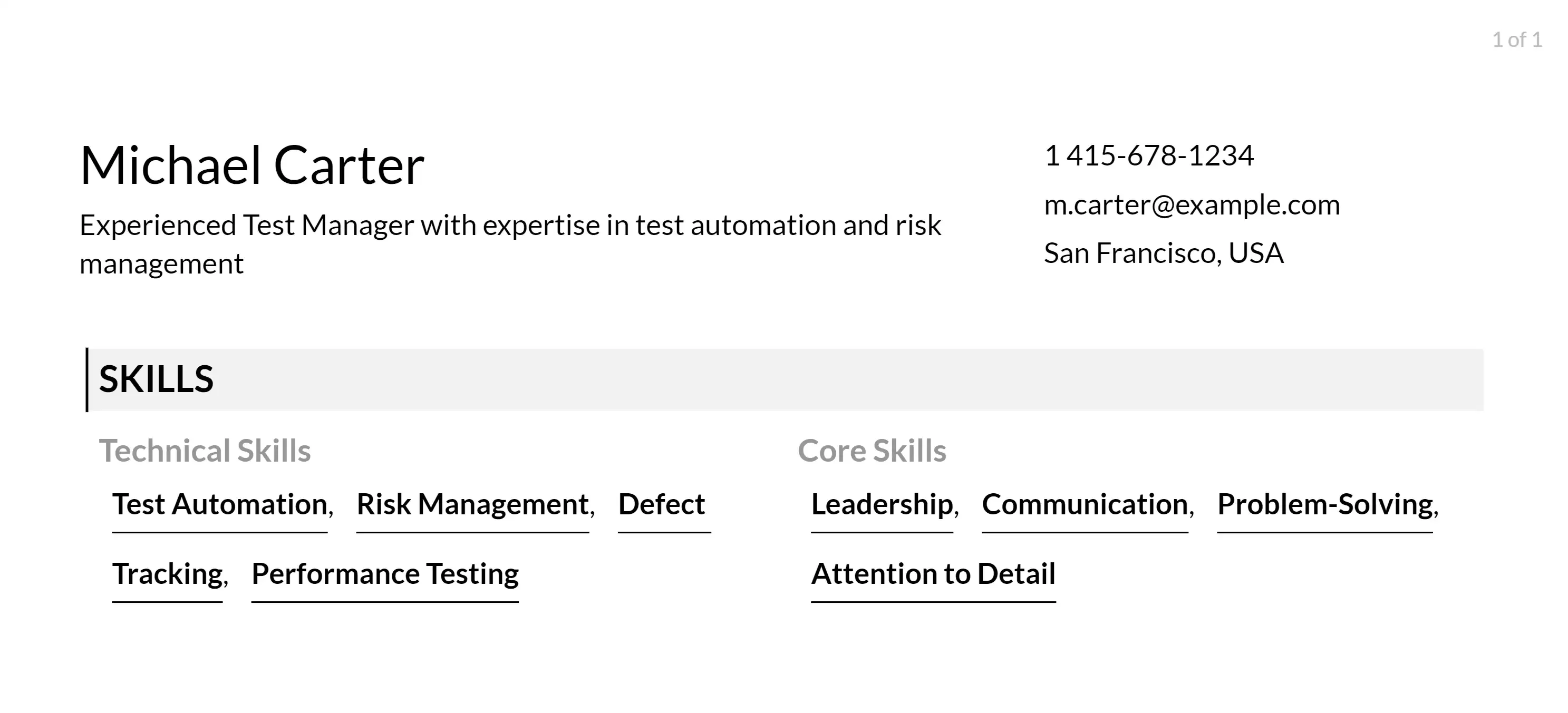 test manager resume skills